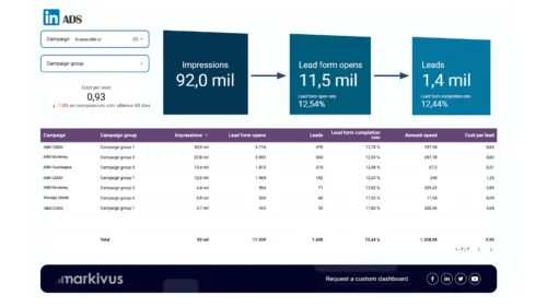 Markivus Linkedin Ads